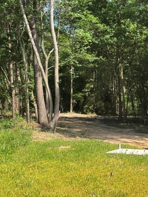 TBD LOT 1 Horace Bonds Road - Photo 1