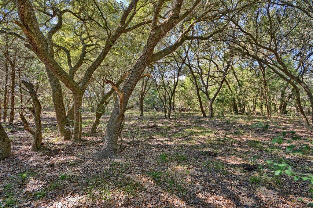 1240 Weyand Rd Lot 5 - Photo 1