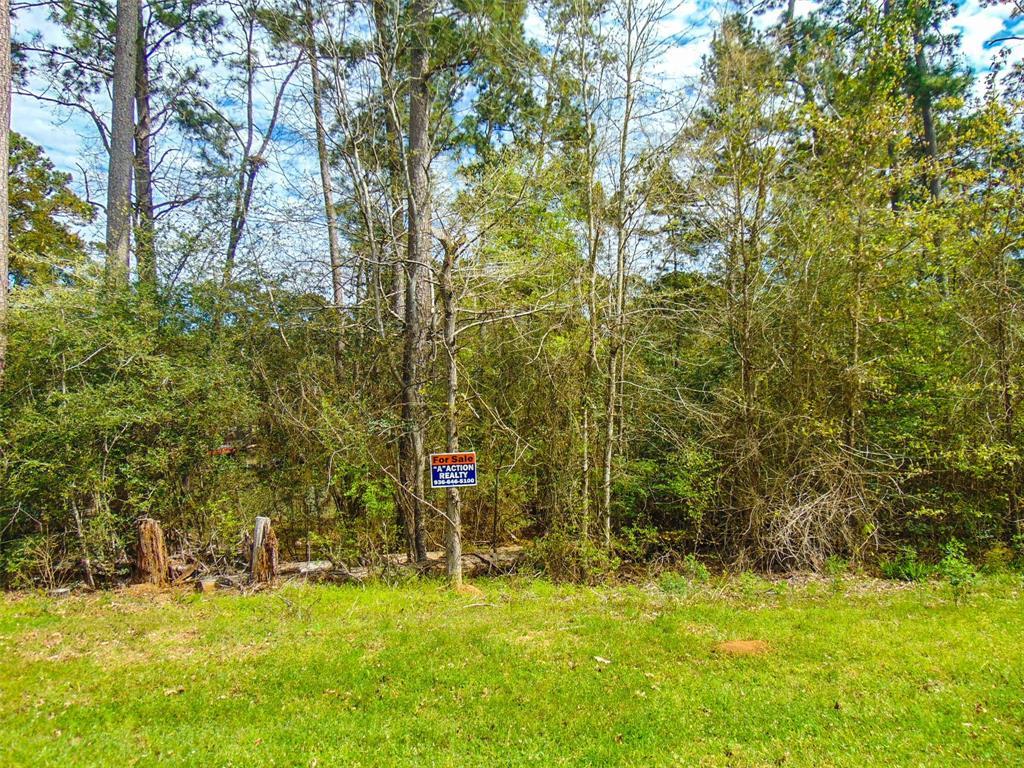 TBD Lower Cove Drive - Photo 1