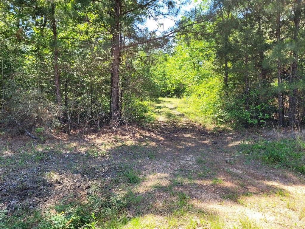 301 Twin Oaks Drive - Photo 1