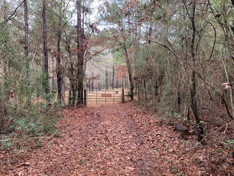 4.9 +/- Acres County Road 3080 - Photo 1