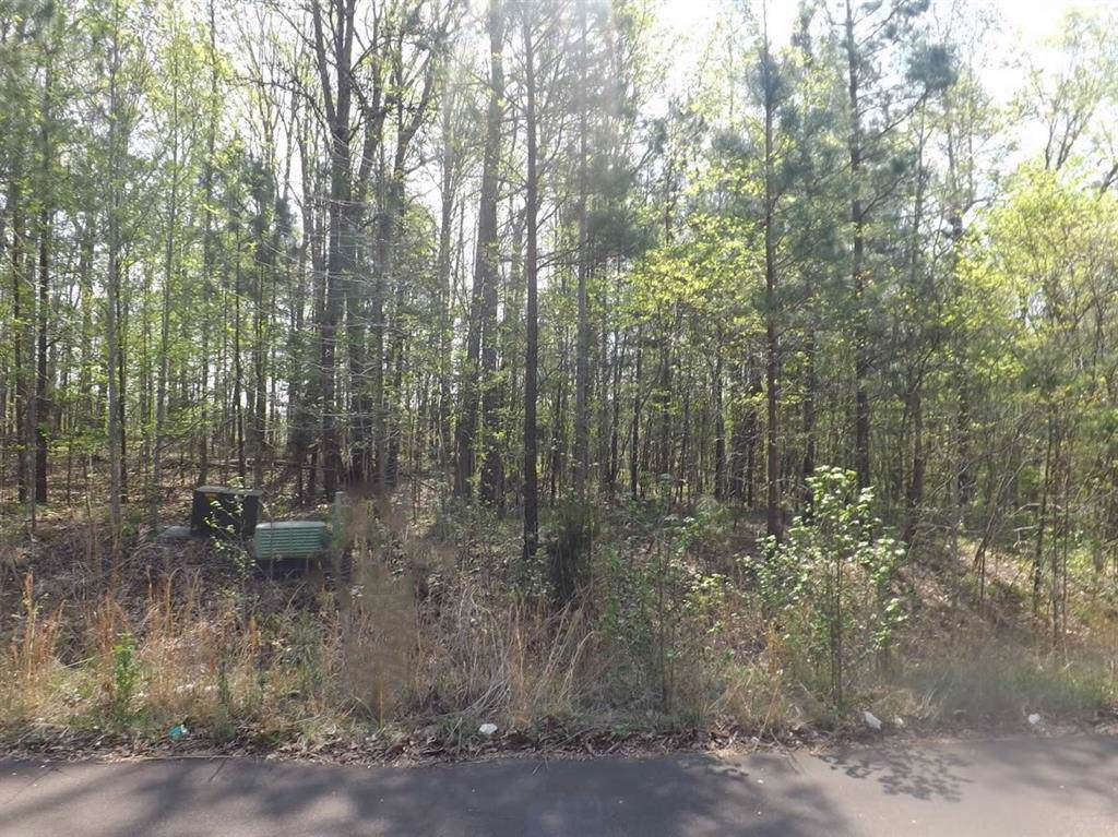 7092 Porter Drive - Photo 1