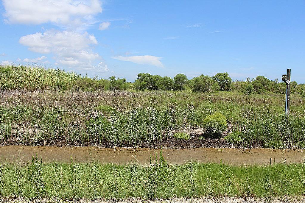 1408 Mabry - Photo 1