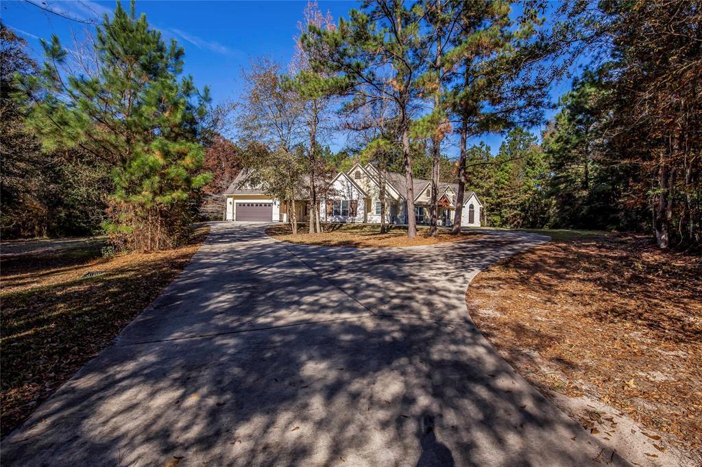 23973 Spring Branch Point - Photo 1