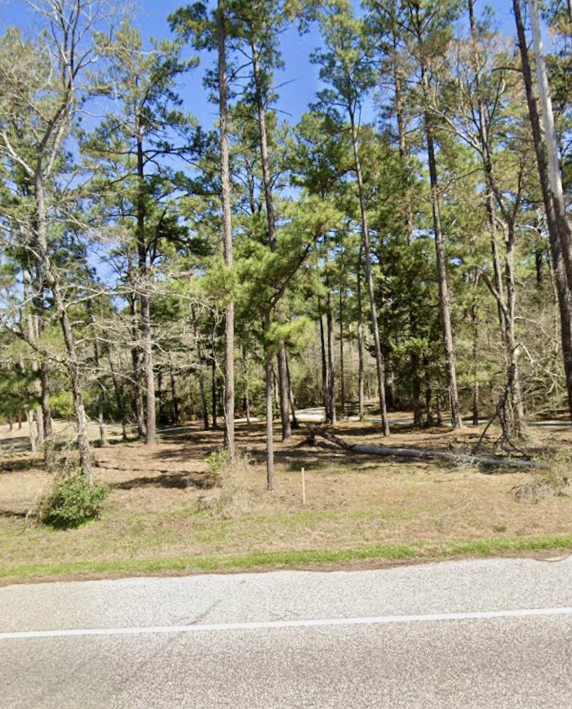 0 Grissom Road - Photo 1