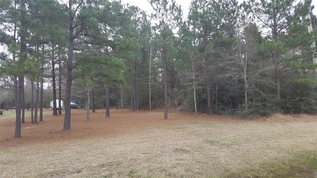 11517 11517 Kirsten Ct - Photo 1