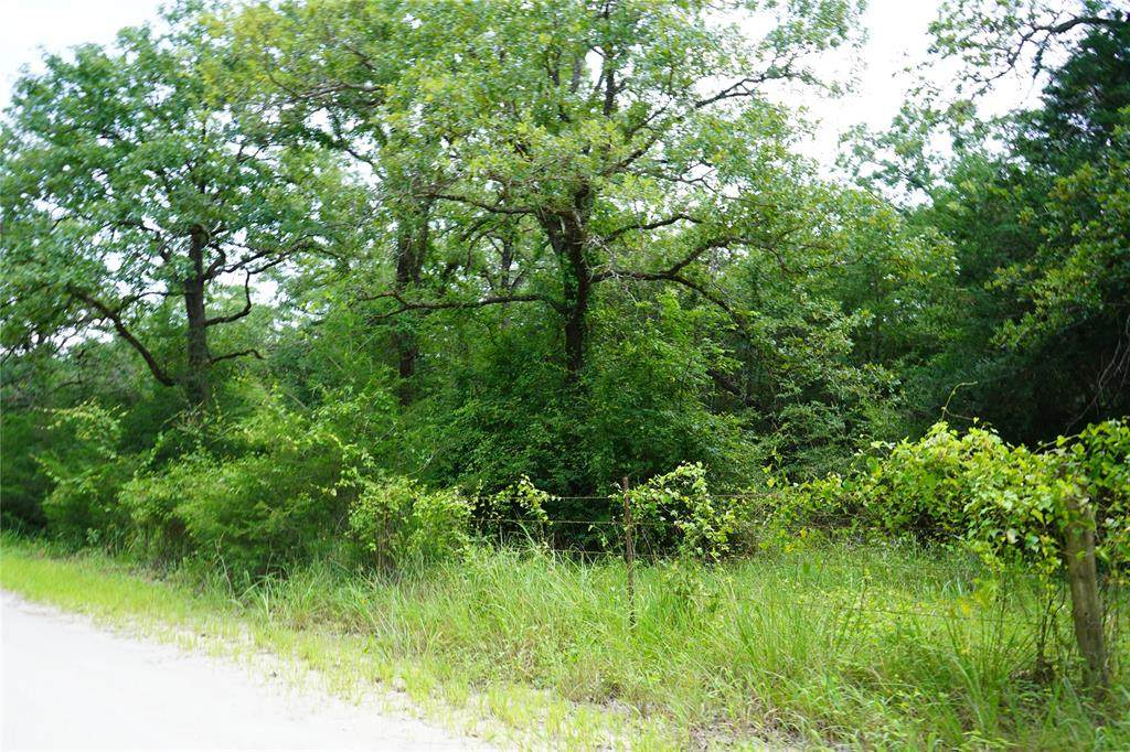 Lot 7 TBD County Road 190 - Photo 1