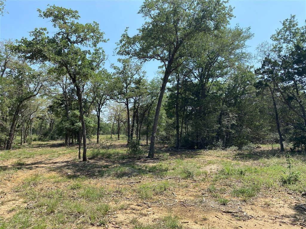 TBD High Crossing Road - Tract 2 - Photo 1