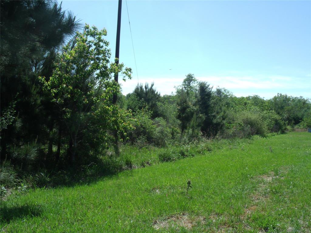 0 County Road 4869 Rigby Road - Photo 1