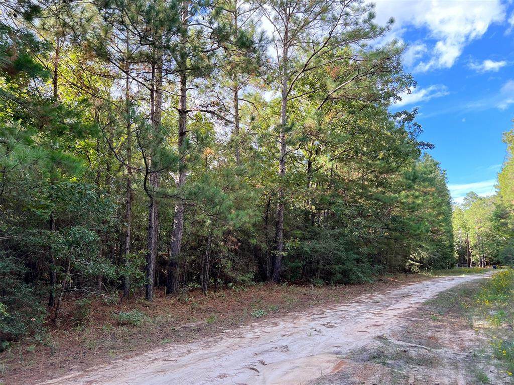 tbd Private Rd 7766 - Photo 1
