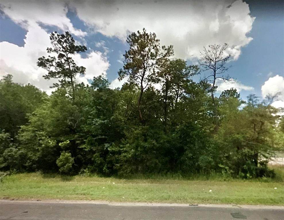 0000 Hwy 87 Lot L - Photo 1