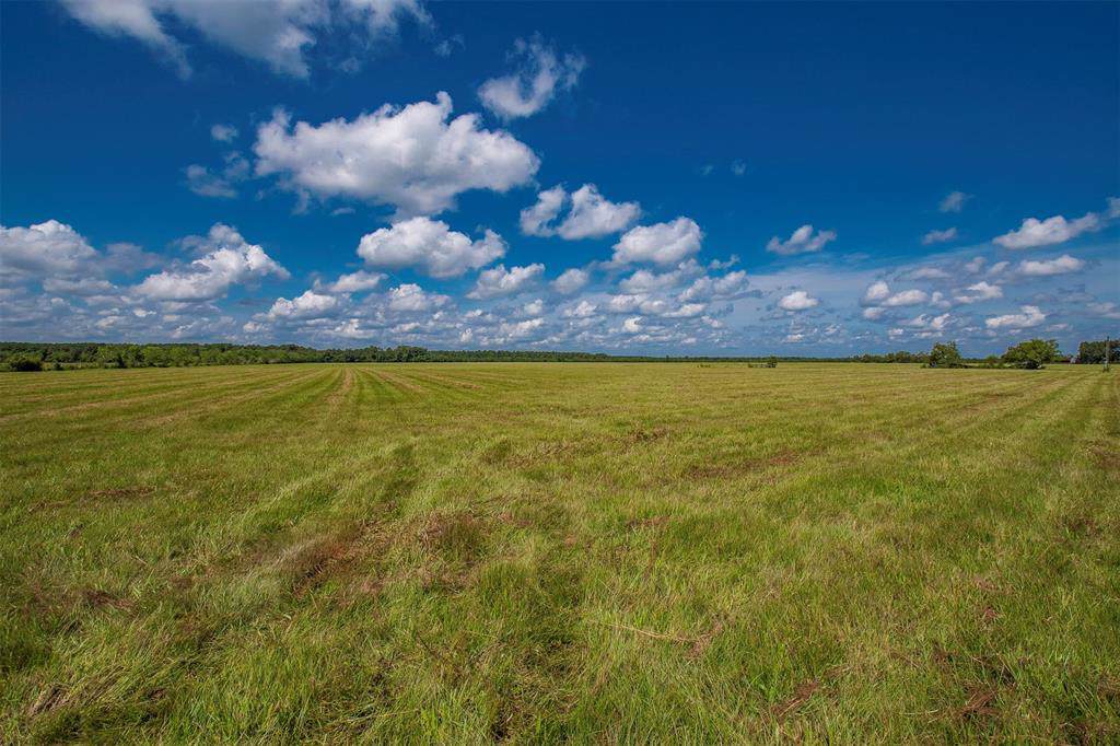 Tract 13 County Road 2285 - Photo 1