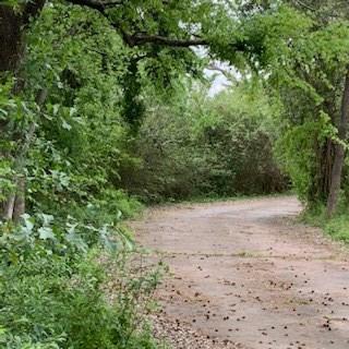 1812 Sam Houston Parkway - Photo 1