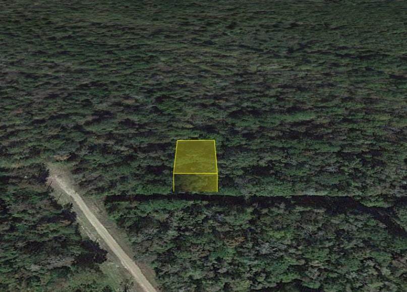 000 County Road 2563 Mona Lisa Lane - Photo 1