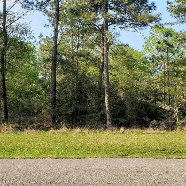 9103 Royal Forest Lane - Photo 1