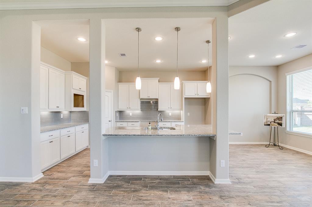 23511 Lutettia Lane - Photo 1