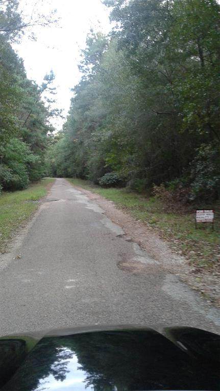 0 South Trans Road - Photo 1
