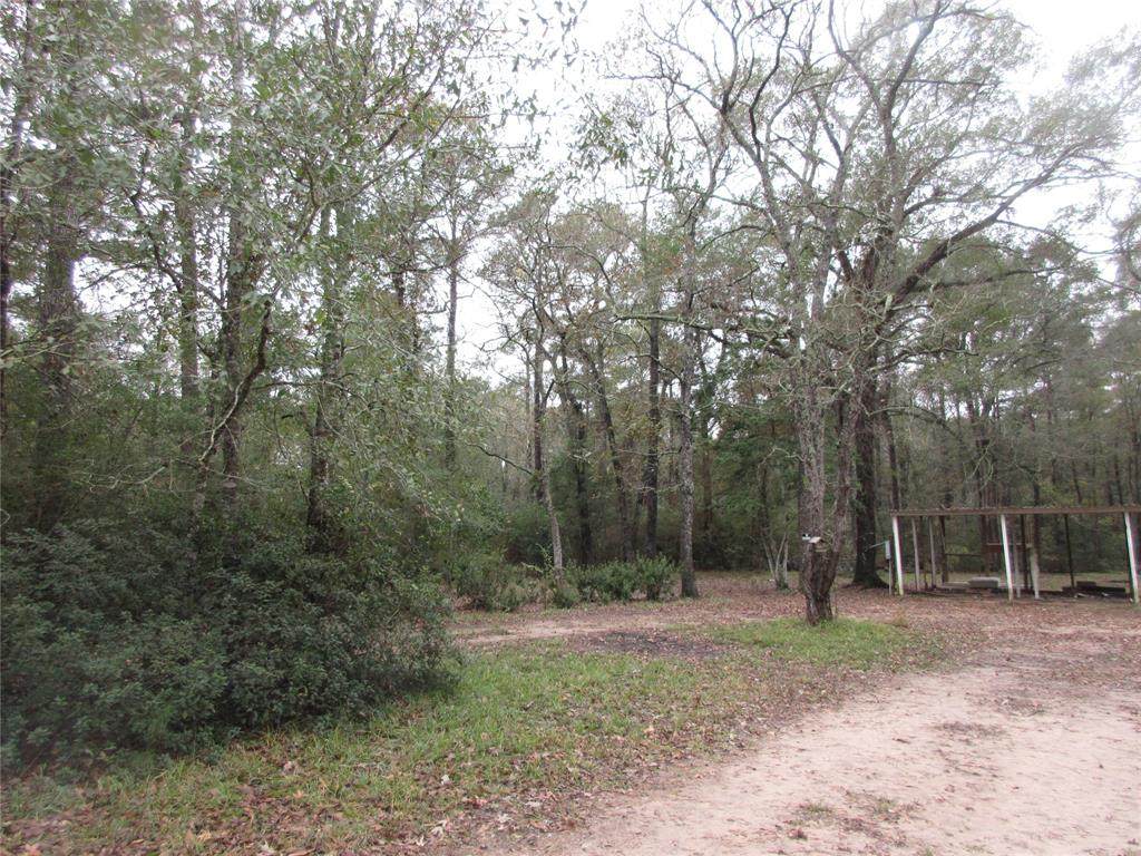 807 Brenda Lane - Photo 1