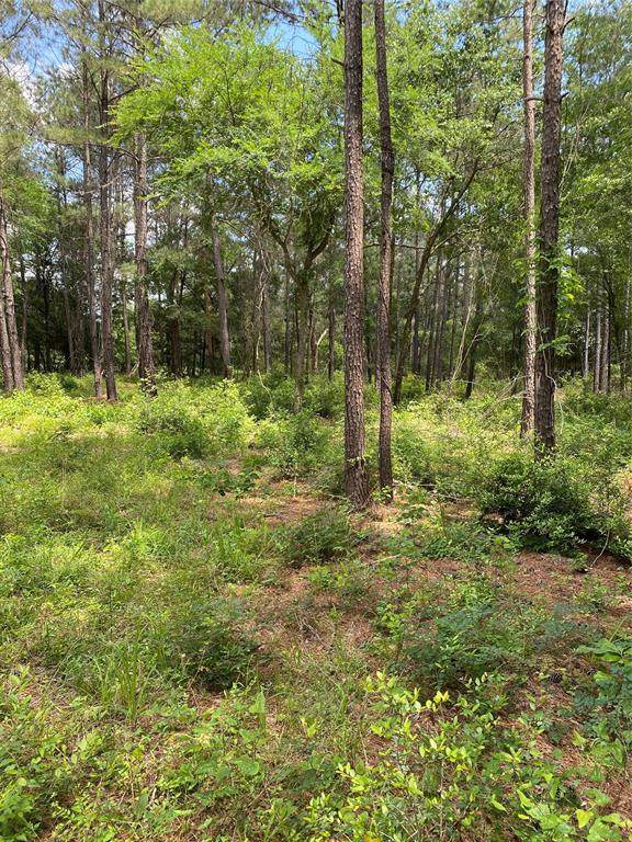 8421 Magnolia Spring - Photo 1