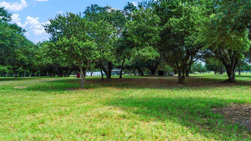 33952 Joseph Road - Photo 1