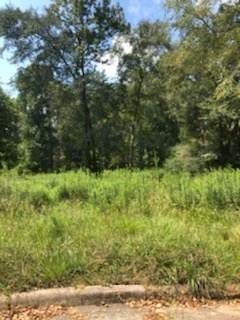 27219 Farmcreek Drive - Photo 1