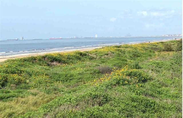 812 Sombrero Drive - Photo 1