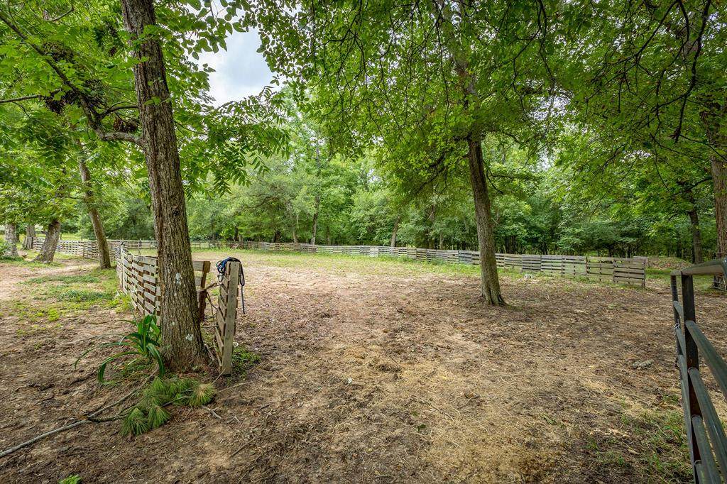 441 County Road 450 - Photo 1