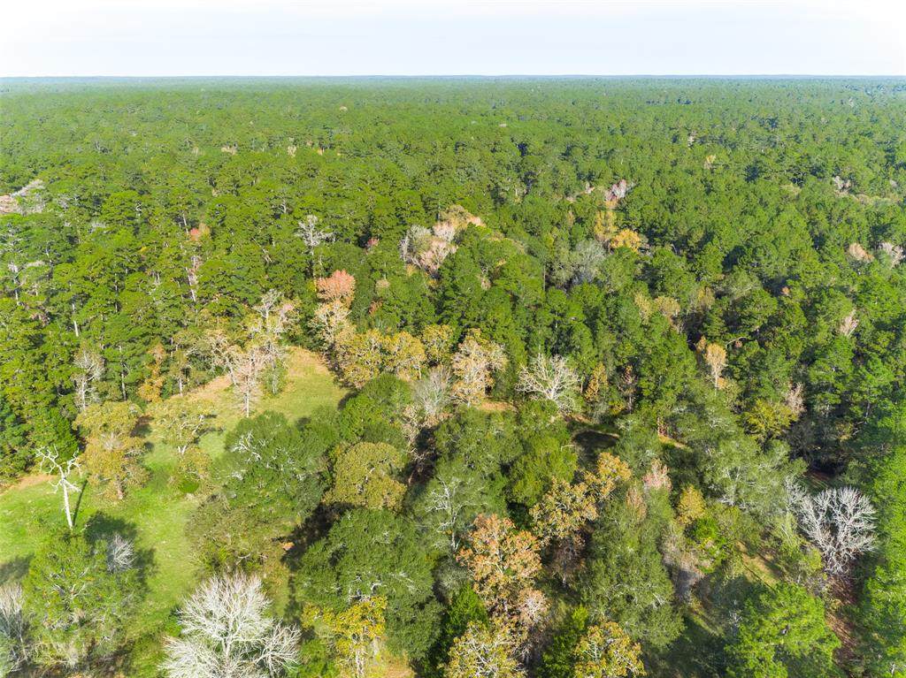 23510 Martha Williams Road - Photo 1