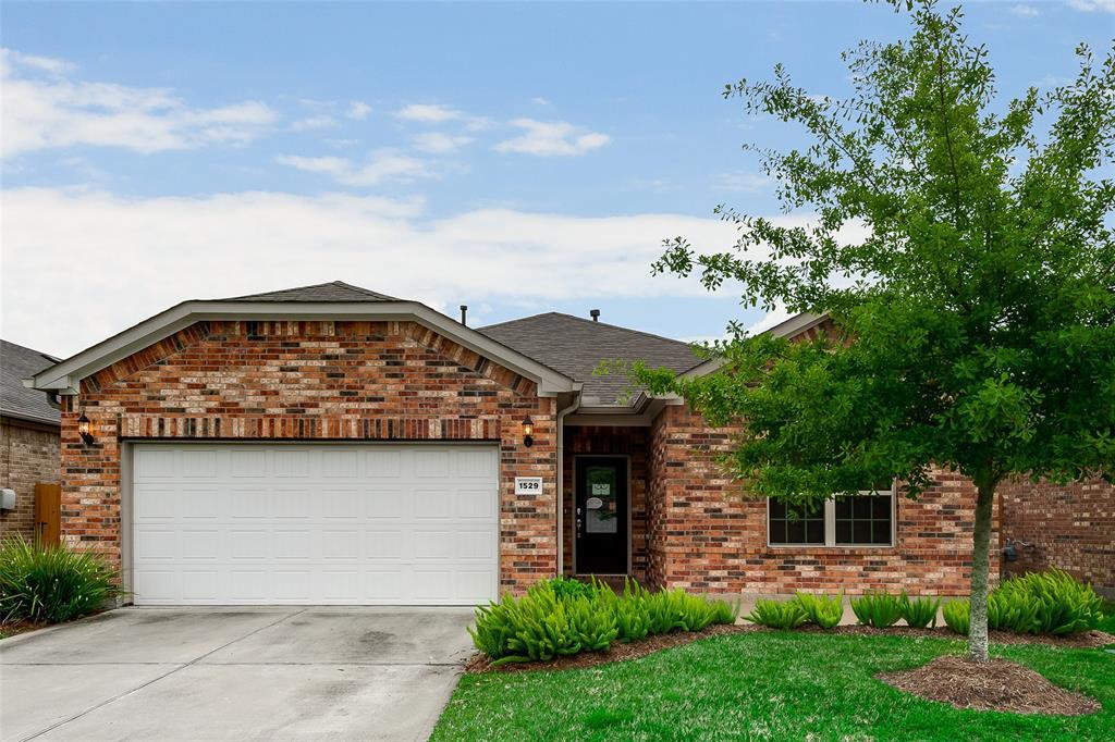 1529 Brunello Street - Photo 1