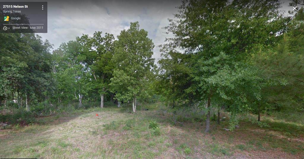 27515 Nelson Street - Photo 1