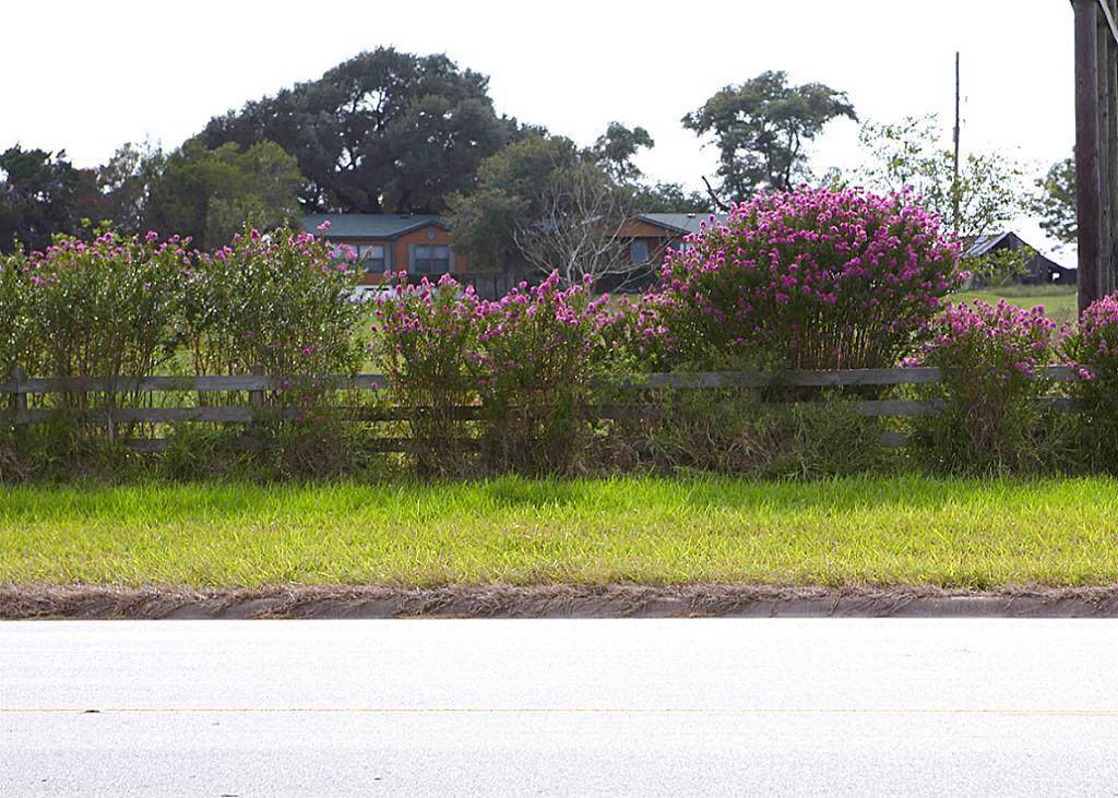 2339 Hwy 36 - Photo 1