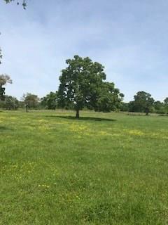 TBD - Lot 17 Cr 220 - Photo 1