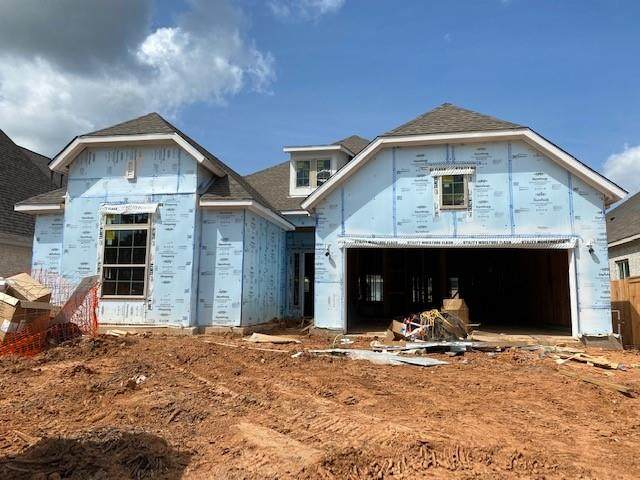 313 Torrey Bloom Loop - Photo 1