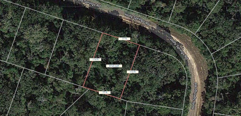 Lot 40 Holly Springs Road - Photo 1