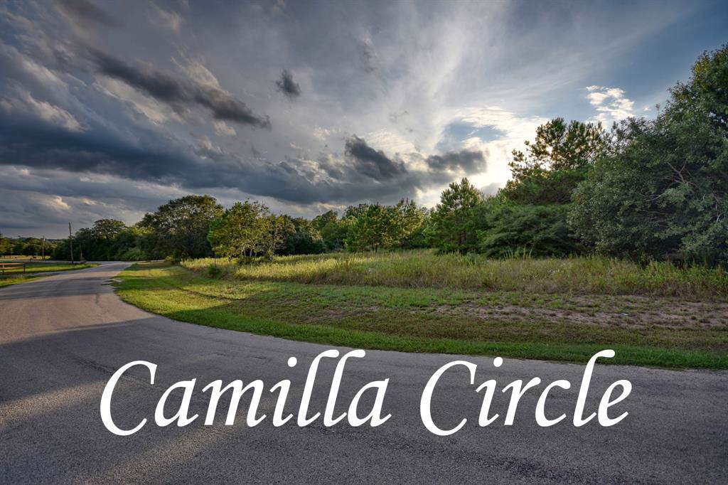 110 Camilla Circle - Photo 1