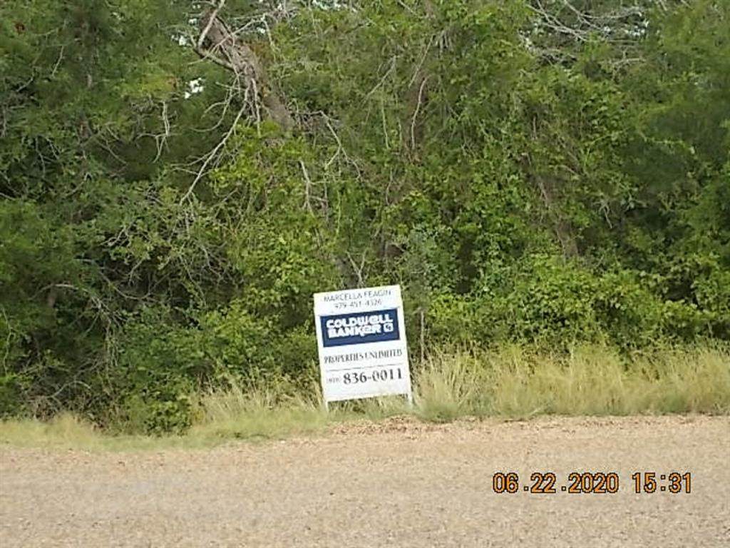 207 Apache Drive - Photo 1