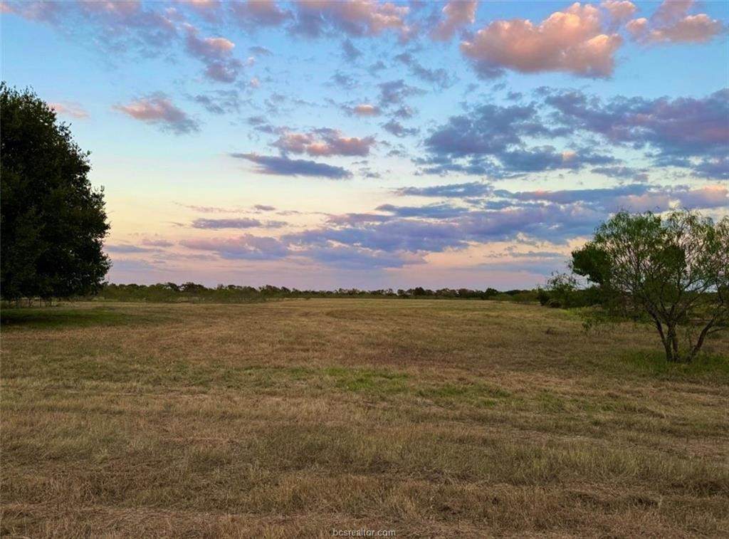 80 Acres TBD Lcr 648 - Photo 1