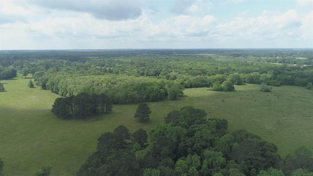 200ac Walding Road - Photo 1