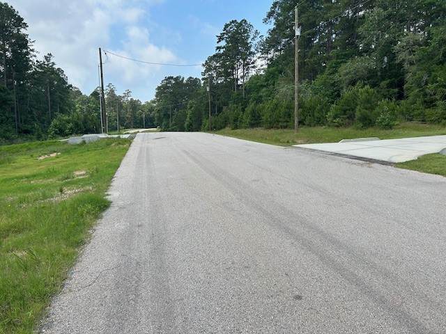 00 Sky Oak Lane Lane - Photo 1