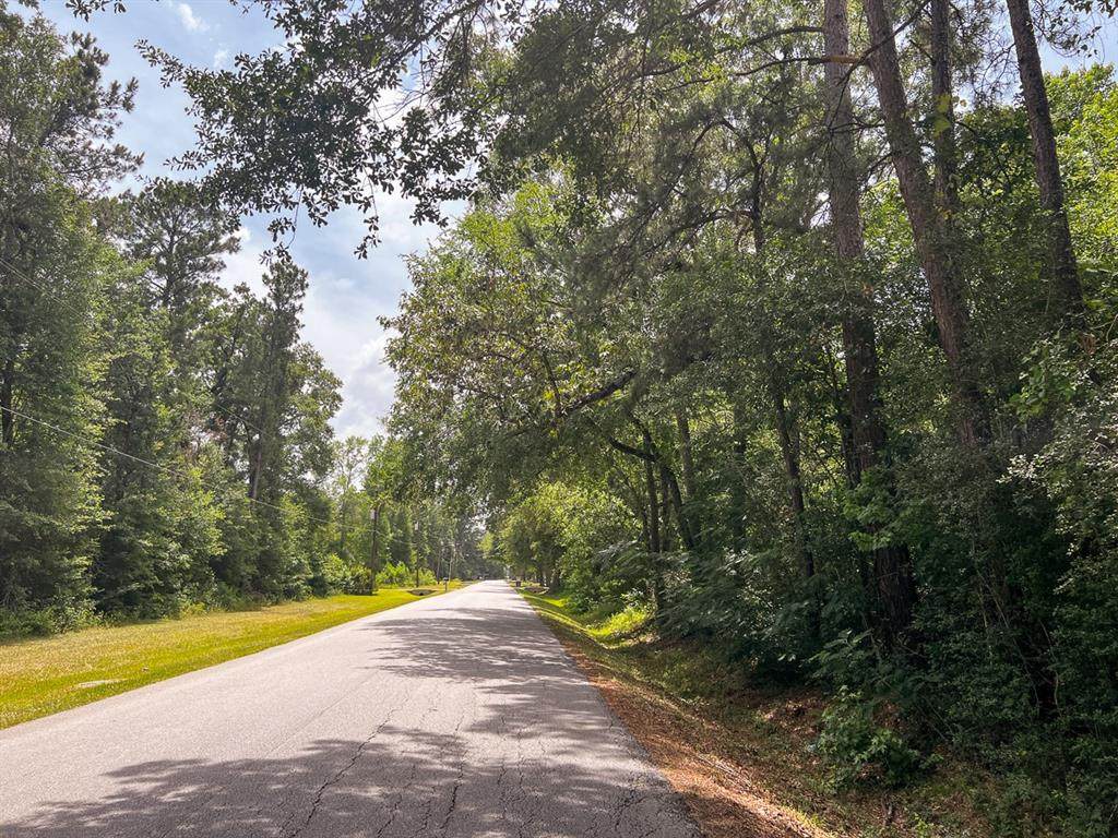 0000 Piney Point - Photo 1