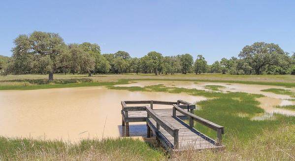 5400 County Road 283 - Photo 1