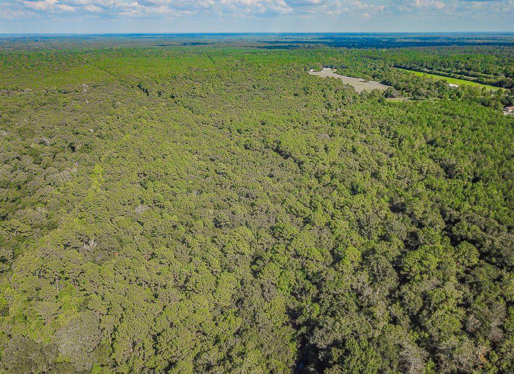 0 Hwy 321 - Photo 1