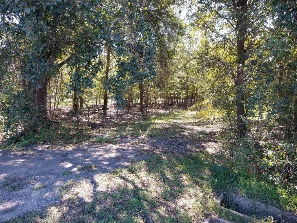 000 Fm 1875 - Photo 1