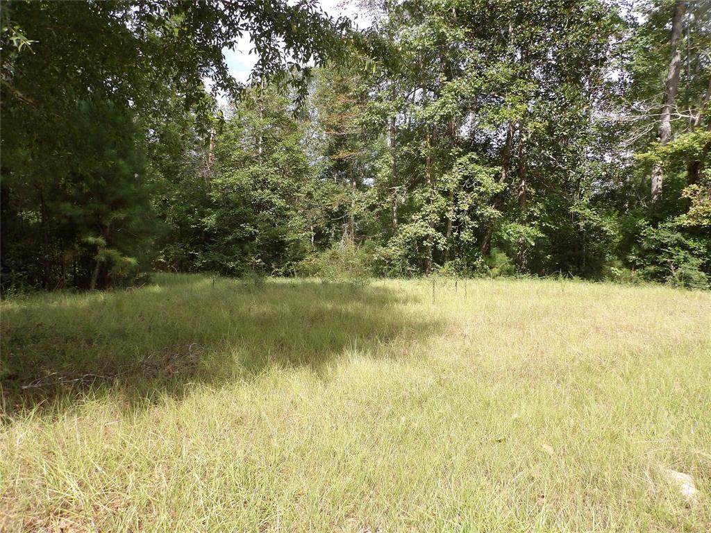 254 Floyd Rains Drive - Photo 1
