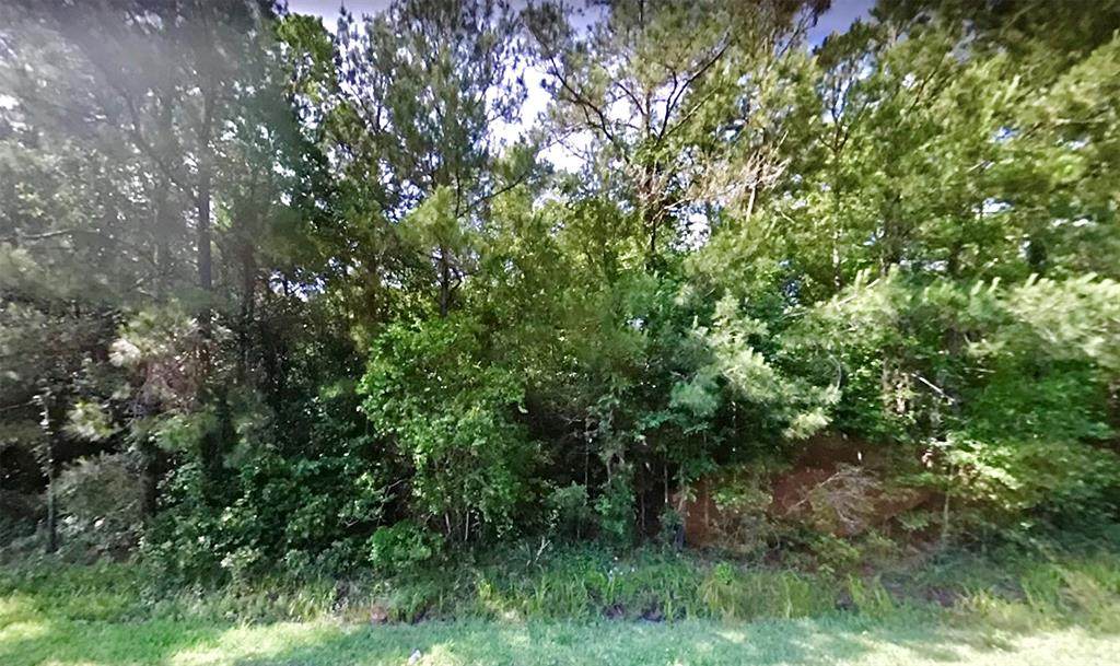 0000 Woodland Ridge Lot 91 Drive - Photo 1