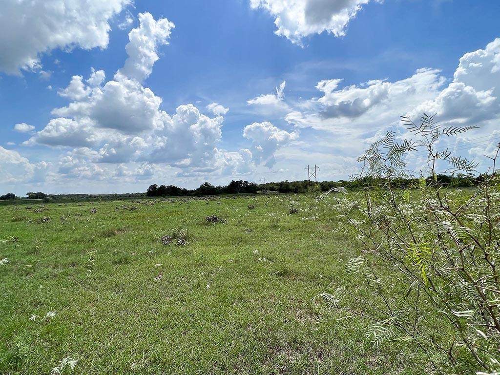 Tract #3 Fm 2562 Road - Photo 1