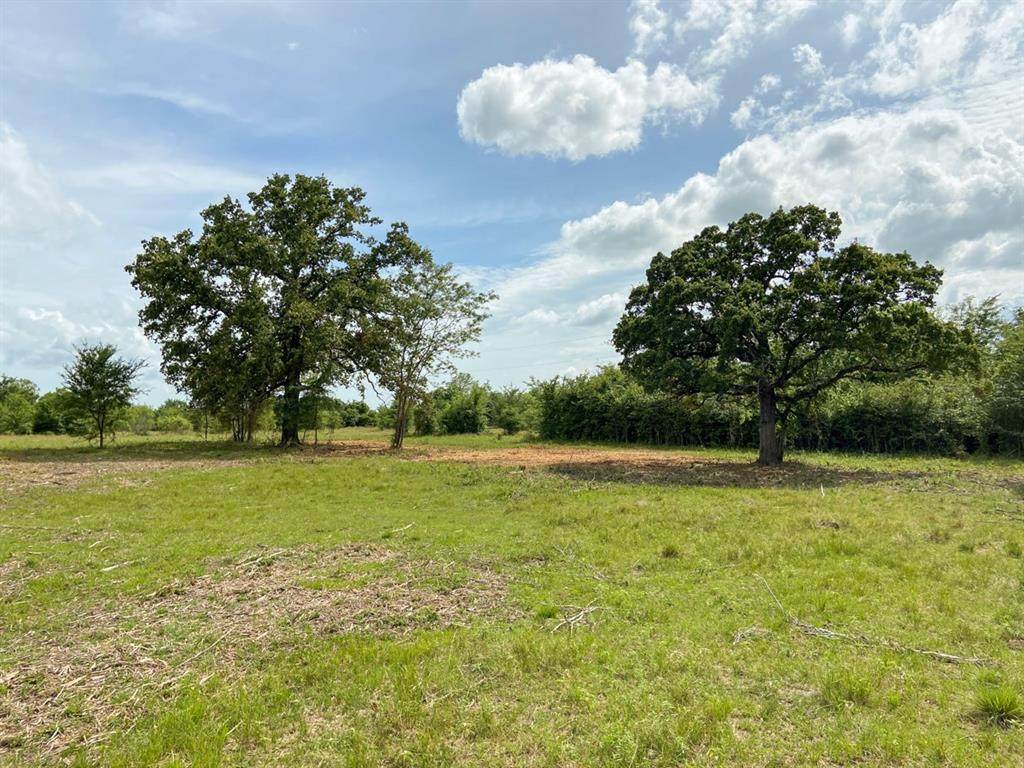 00000 Morgan Spur Rd - Photo 1