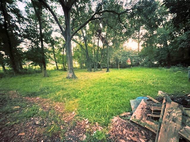 1117 Kellow Street - Photo 1