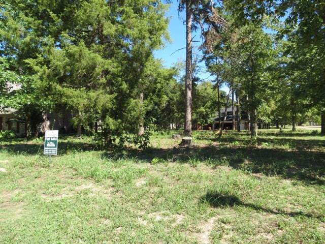 137 Eagles Bluff Boulevard - Photo 1