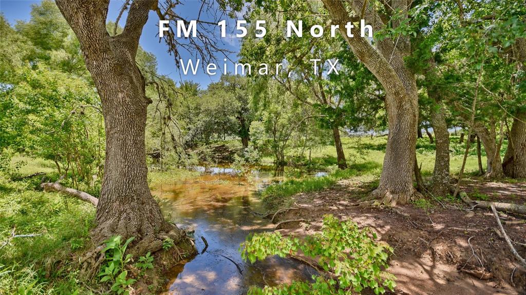 2506 Fm 155 Highway - Photo 1